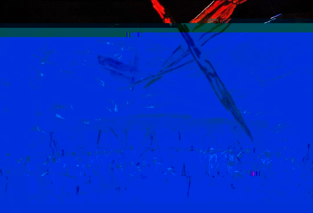 c0475e0b66484236b460f39bd0c096fb.Jpeg