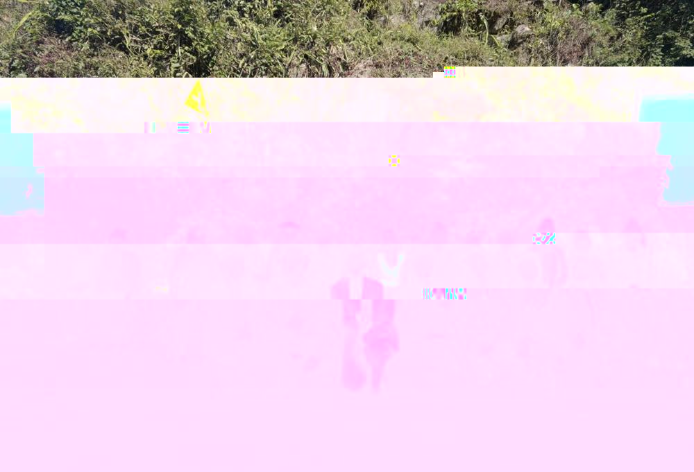 4d33256d07ba42fd88a7d65e2042d164.Jpeg
